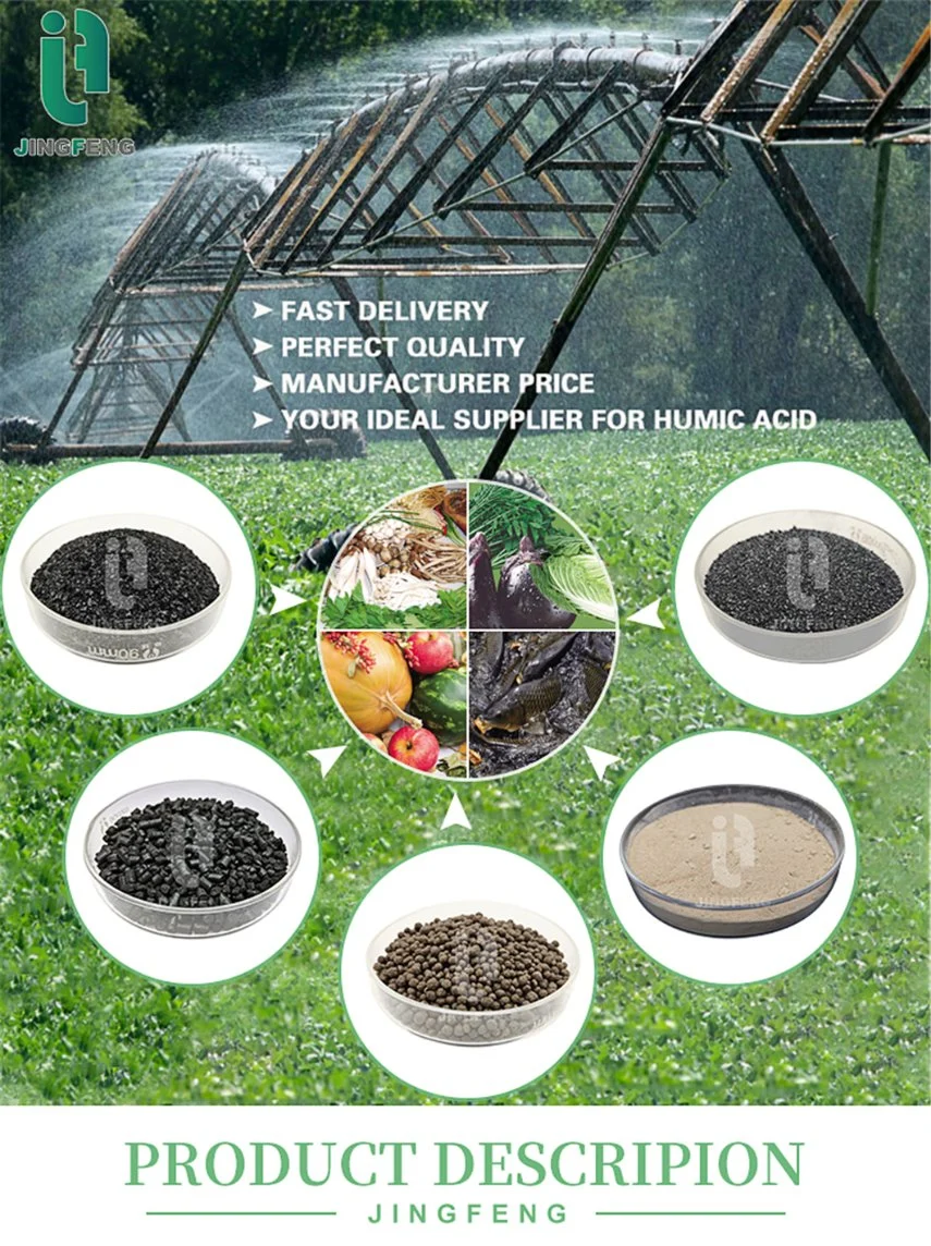 Mineral Source Supplement Nutrients Plants Benefits Pure Nature Extracted Humic Acid Granule