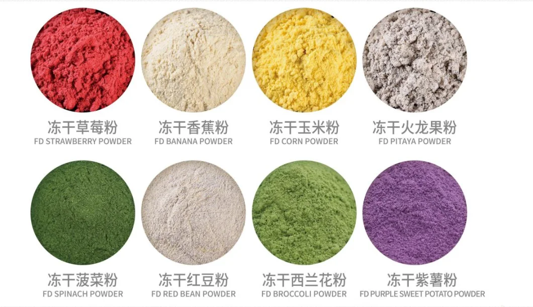 Food Grade Fruit Extract Powder Freeze Dried Powder Best Quality 100% Organic Fruit Powders/ Vegetable Powder/ Grain Powder