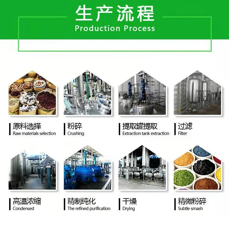 Food Grade Fruit Extract Powder Freeze Dried Powder Best Quality 100% Organic Fruit Powders/ Vegetable Powder/ Grain Powder