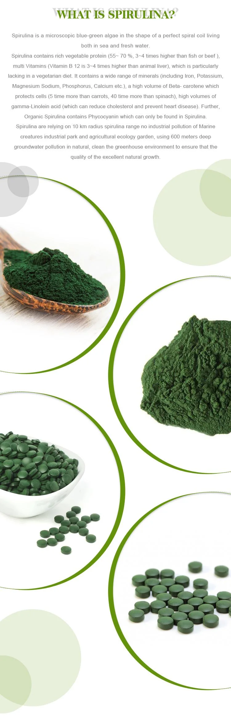 100% Pure Organic Green Algae Powder Improved Nutritional Anemia Spirulina Powder Health-Care Products Food Supplement Health Manufacturer