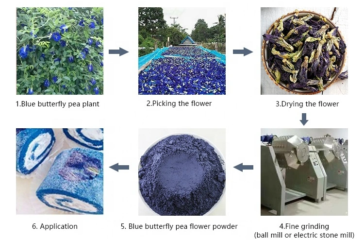 High Quality Organic Butterfly Pea Flower Powder and Butterfly Pea Tea