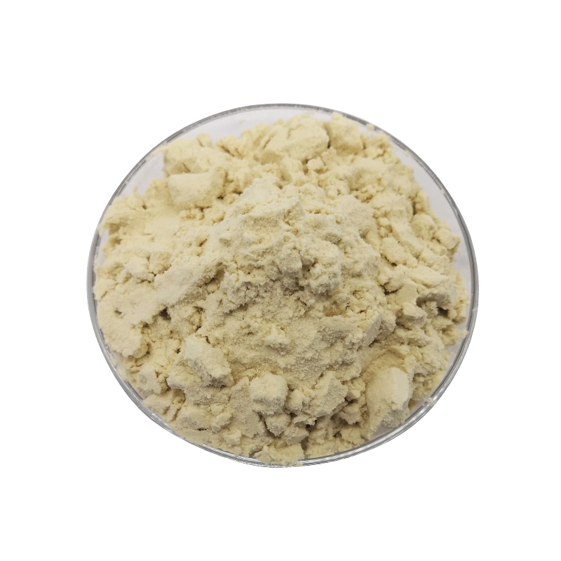 Natural Plant Extract Amino Acid Soy Raw Material Soy Protein Powder